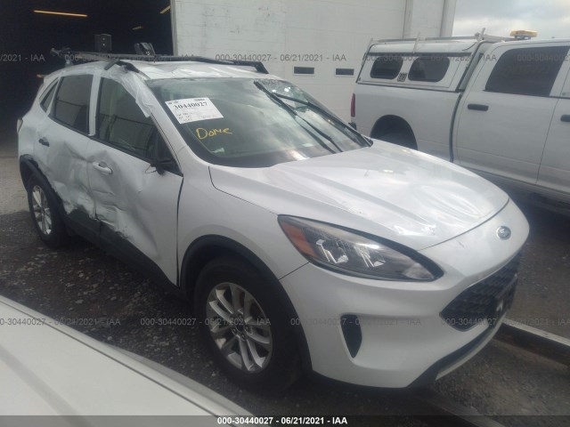 Ford Escape (2020)