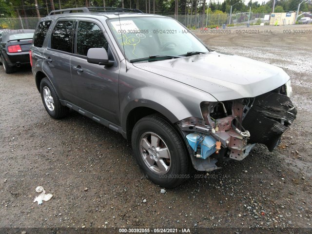 Ford Escape (2010)