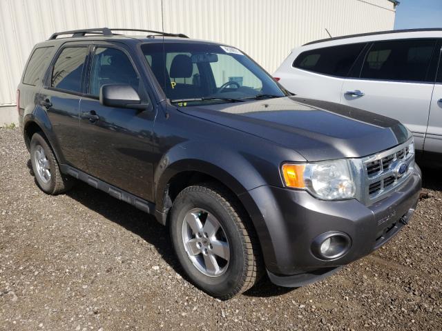 Ford Escape xlt (2010)