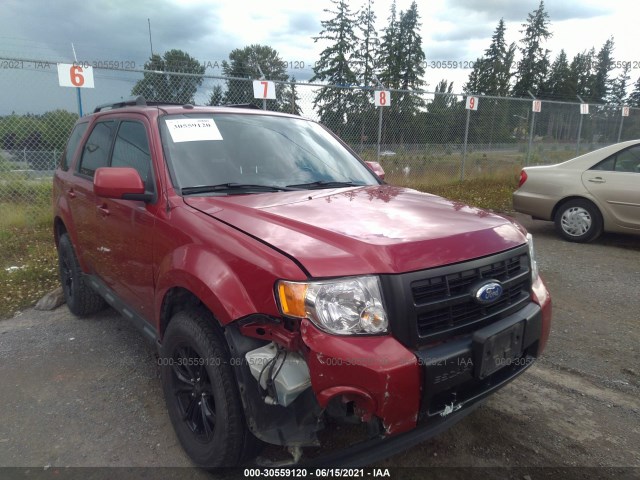 Ford Escape (2011)