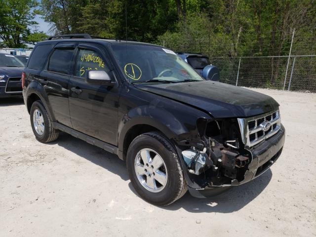 Ford Escape xlt (2011)