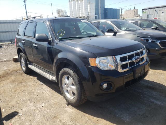Ford Escape xlt (2011)