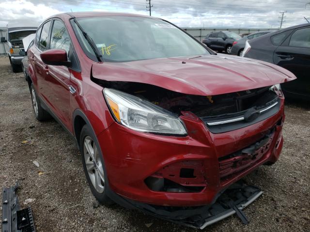 Ford Escape se (2014)
