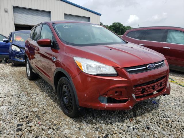 Ford Escape se (2014)