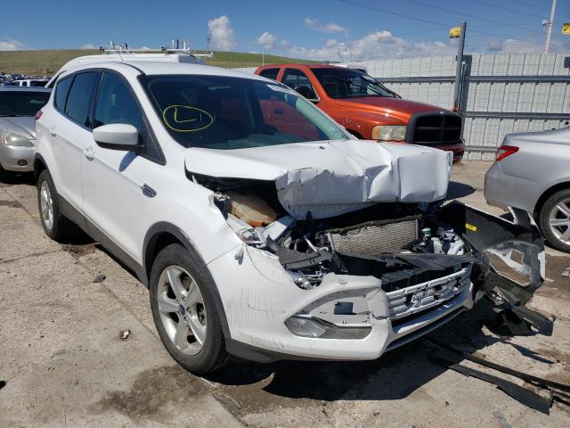 Ford Escape se (2014)