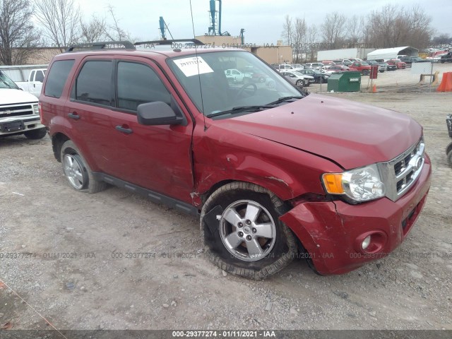 Ford Escape (2010)
