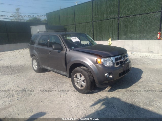 Ford Escape (2010)