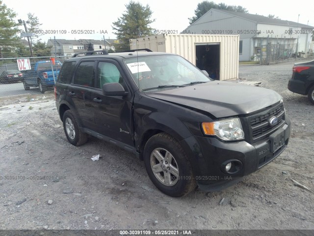 Ford Escape (2011)