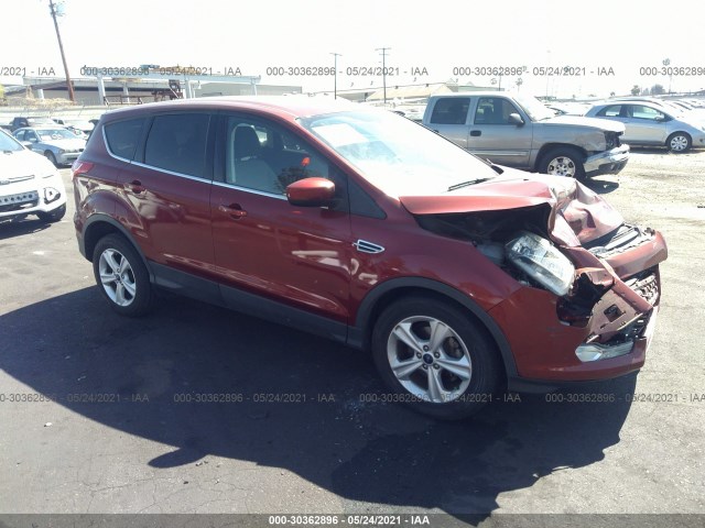 Ford Escape (2014)