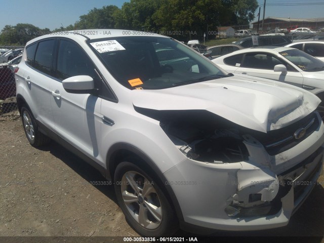 Ford Escape (2014)