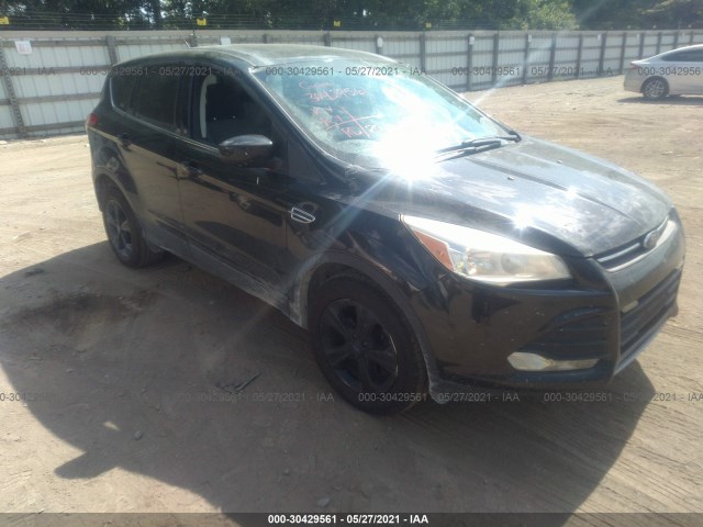 Ford Escape (2015)
