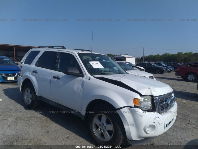 Ford Escape (2011)