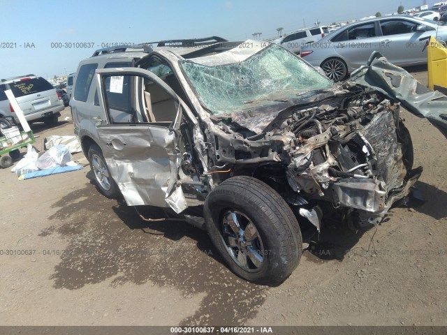 Ford Escape (2011)