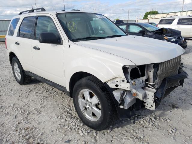 Ford Escape xlt (2011)