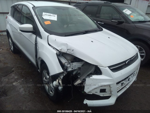 Ford Escape (2014)