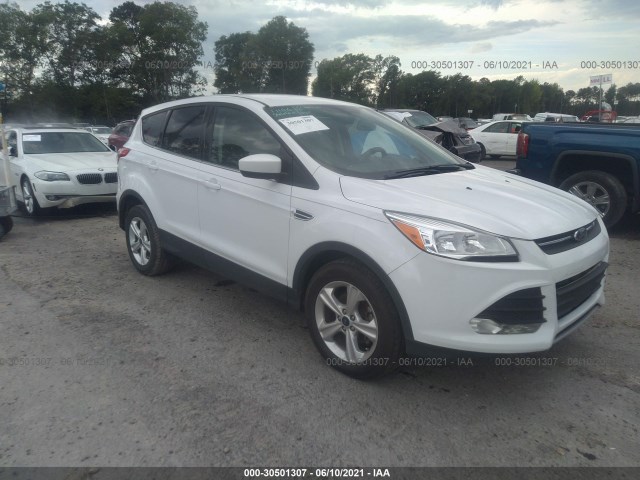Ford Escape (2014)