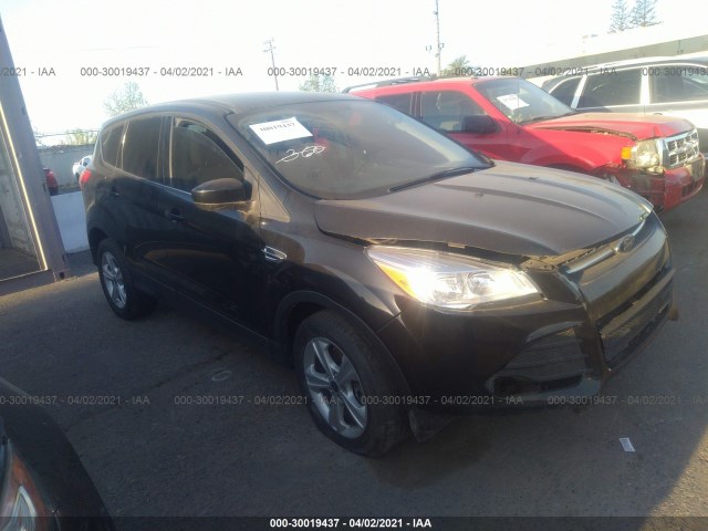 Ford Escape (2014)