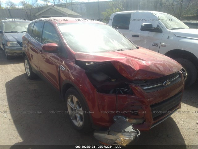 Ford Escape (2014)