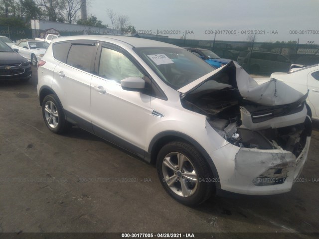Ford Escape (2014)