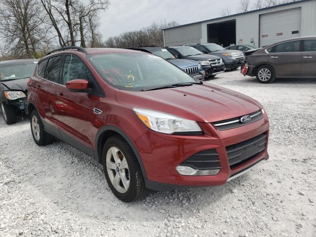 Ford Escape se (2014)