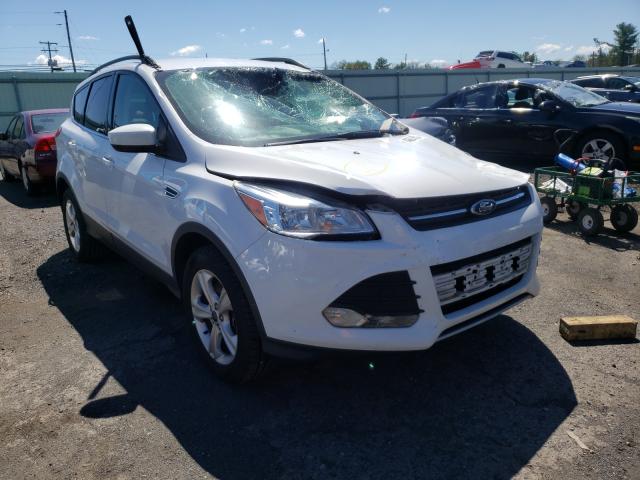 Ford Escape se (2014)