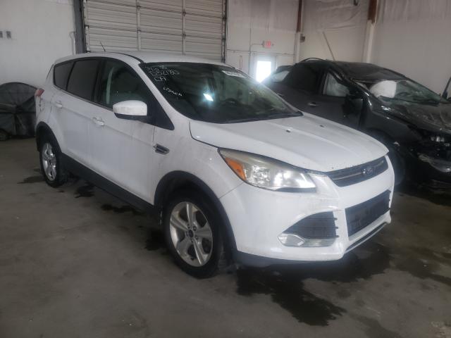 Ford Escape se (2014)