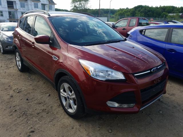 Ford Escape se (2014)