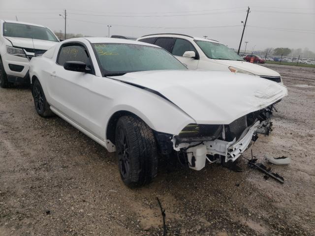 Ford Mustang (2014)