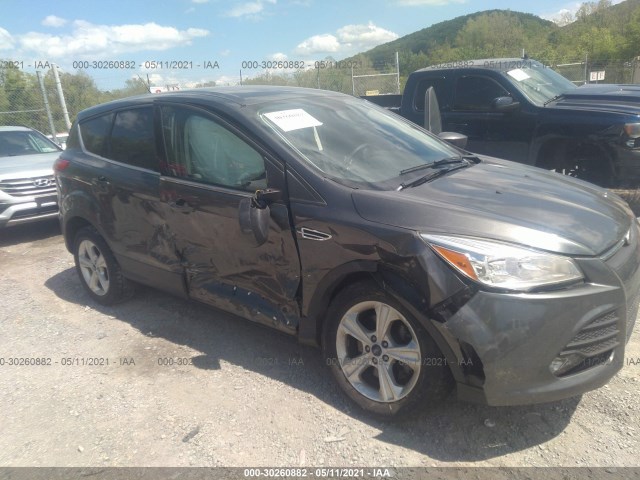 Ford Escape (2015)