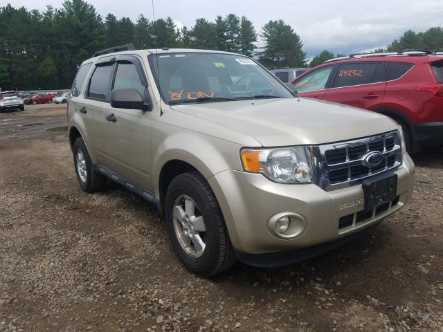 Ford Escape xlt (2010)