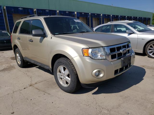 Ford Escape xlt (2010)