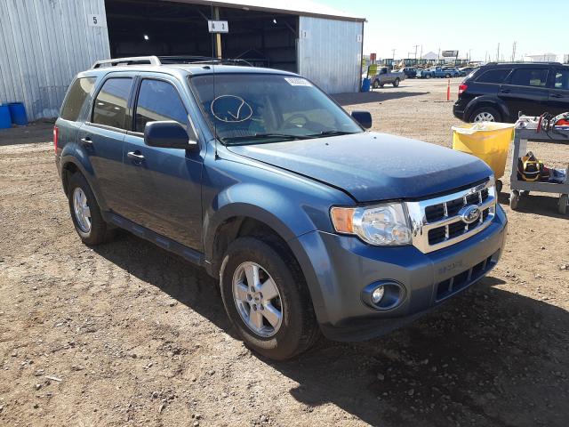 Ford Escape xlt (2010)