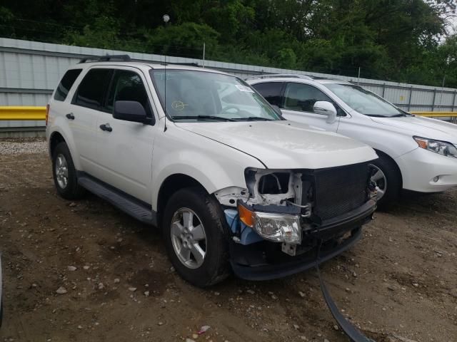 Ford Escape xlt (2011)