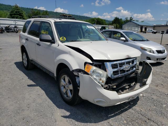 Ford Escape xlt (2011)