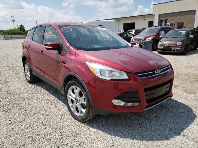 Ford Escape sel (2013)