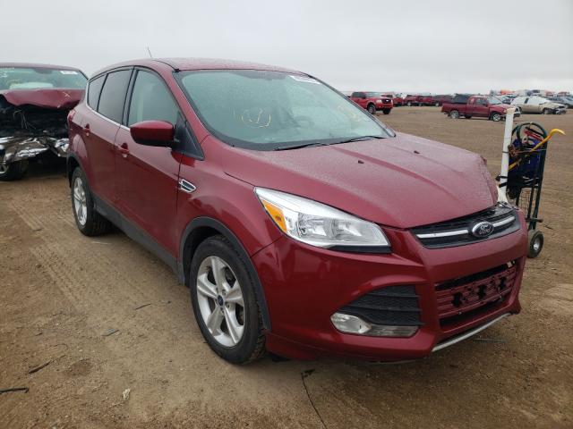 Ford Escape (2014)