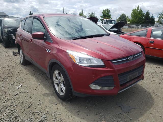Ford Escape se (2014)
