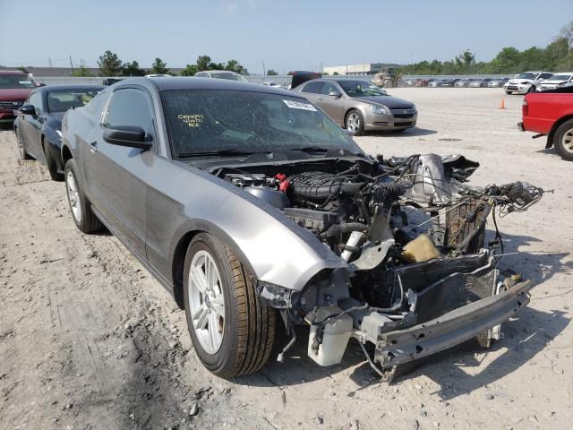 Ford Mustang (2014)