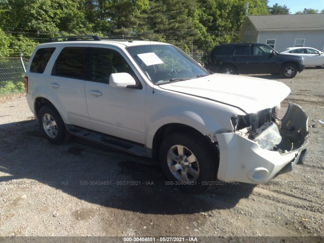 Ford Escape (2010)