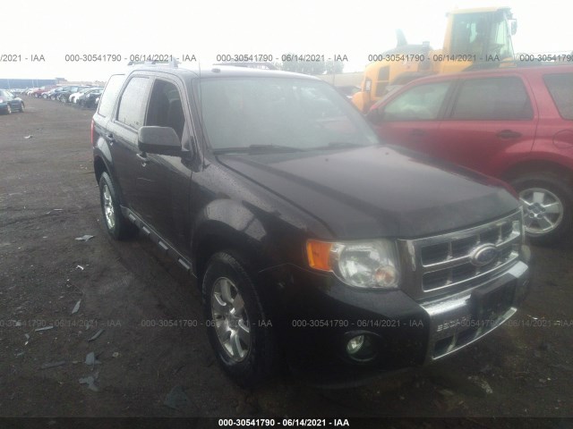 Ford Escape (2010)