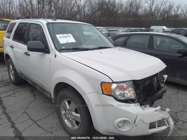 Ford Escape (2011)