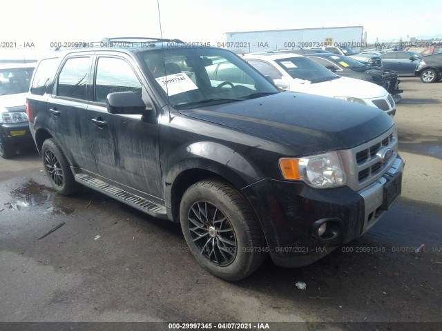 Ford Escape (2011)