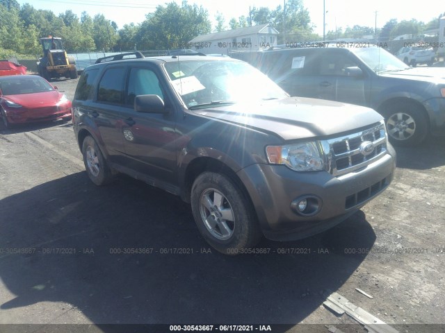 Ford Escape (2012)