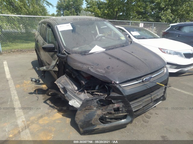 Ford Escape (2014)