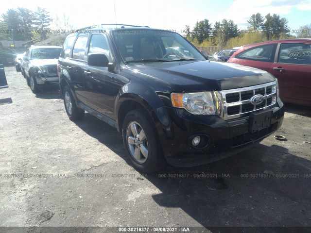 Ford Escape (2010)