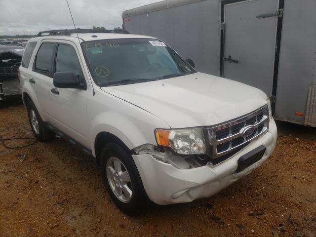 Ford Escape xlt (2010)