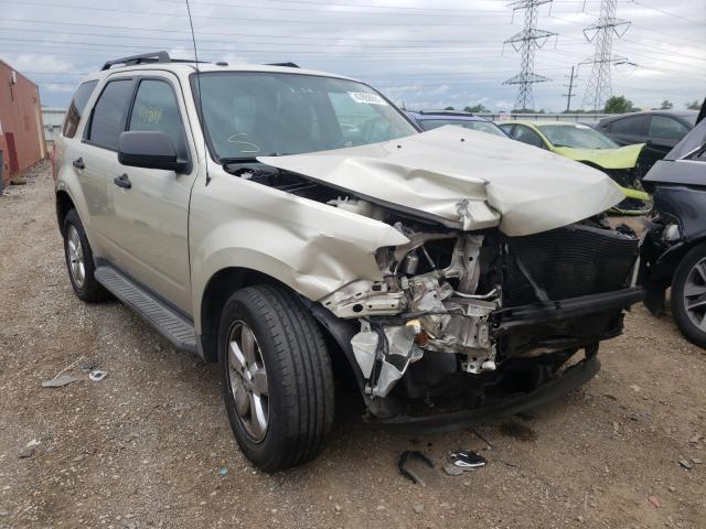 Ford Escape xlt (2010)