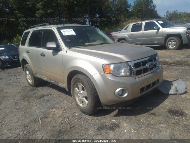 Ford Escape (2012)