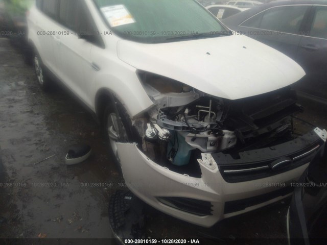 Ford Escape (2014)