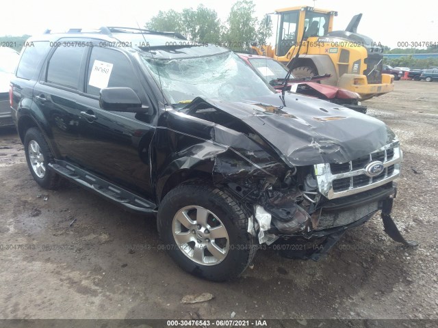 Ford Escape (2010)